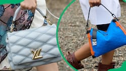 How much is a Louis Vuitton bag in South Africa in 2024?