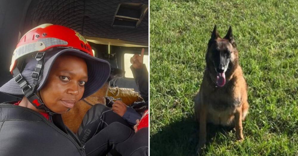 KZN floods, search and rescue, police woman, police dog, die, search operation