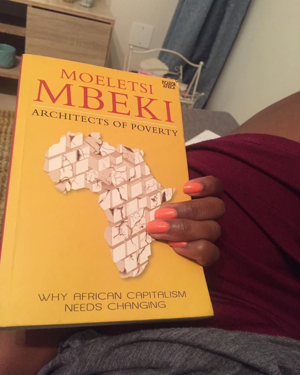 Moeletsi Mbeki books