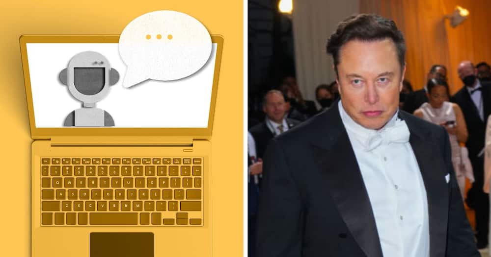 Explained: What are Twitter bots and why is it delaying the Elon Musk's deal