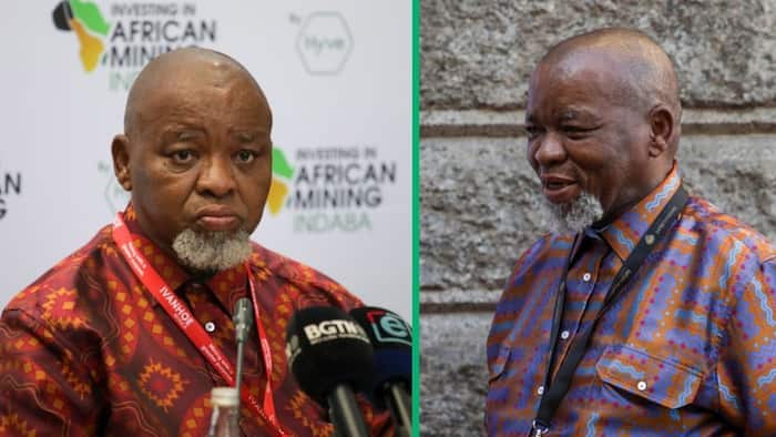 Gwede Mantashe praises himself as most productive energy minister, South Africans laugh