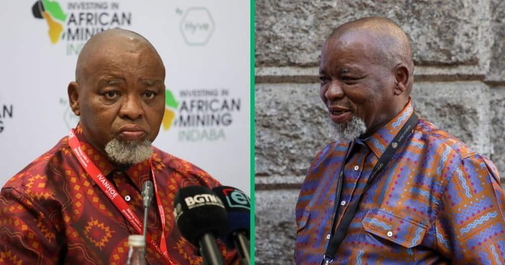 The minister of energy resources and minerals, Gwede Mantashe, praised his work as the minister