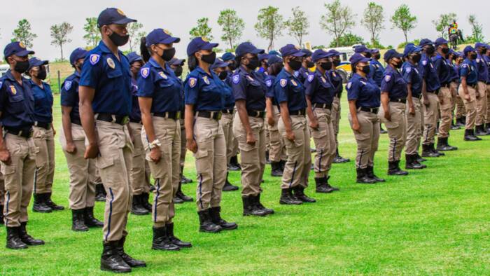 Northern Cape SAPS arrests 5 people who applied to become police officers with fake matric certificates