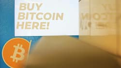 Bitcoin plunges below $20,000