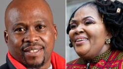 ANC MPs Richard Dyantyi and Pemmy Majodina Officially Deny Busisiwe Mkhwebane’s Bribe Claims, Mbalula Reveals