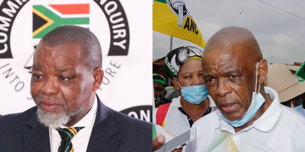 Gwede Mantashe and Zizi Kodwa Clap Back at Ace Ace Magashule: "He'll Do Anything to Save His Skin"