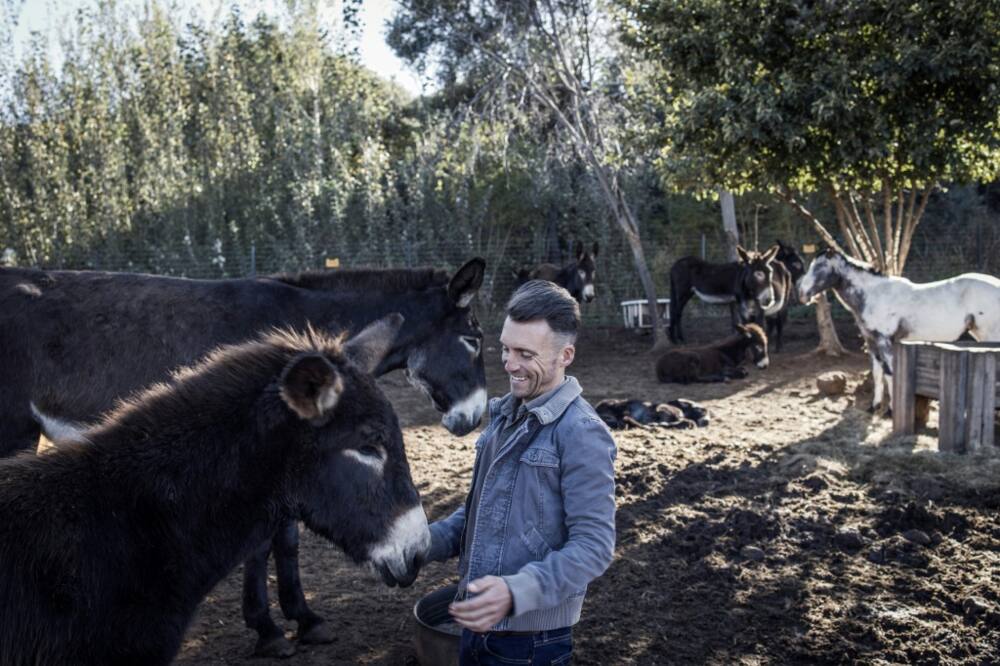 Donkey farmers like Christelis have limited options to protect their herd from thieves