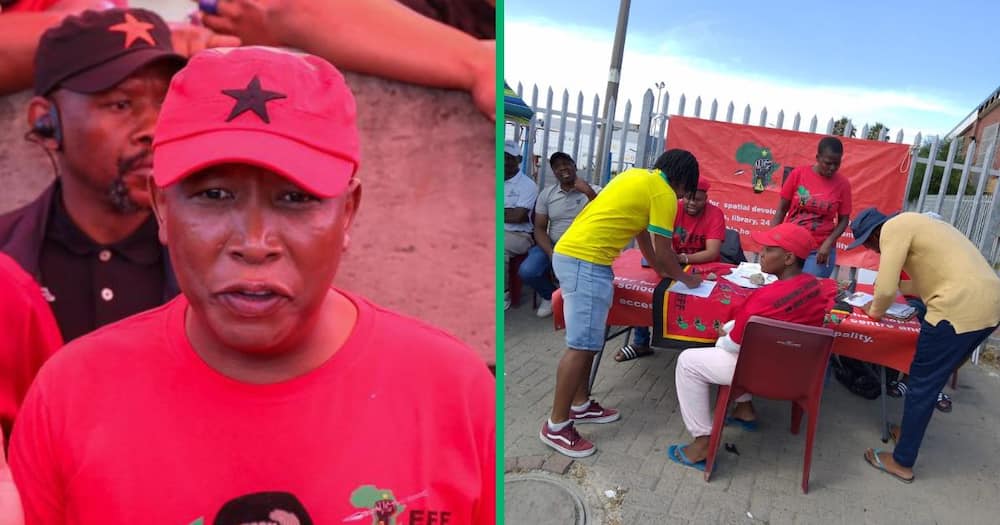 Economic Freedom Fighters leader Julius Malema