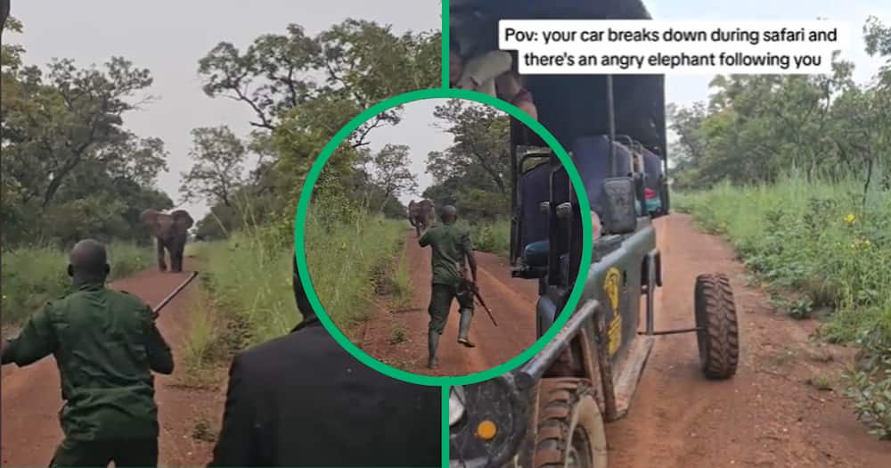 Safari van breaks down leaving people faced with angry elephant, video goes viral.