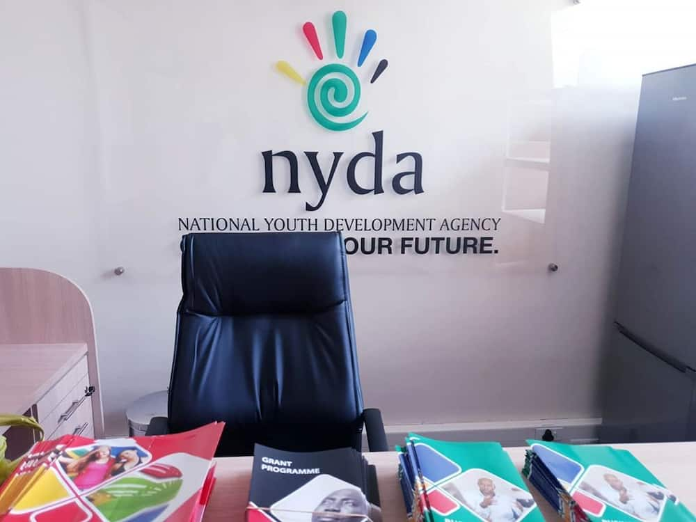 how do you get a business plan from nyda