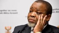 2024 General Elections: ANC seemingly muzzles Gwede Mantashe after tribalism comments