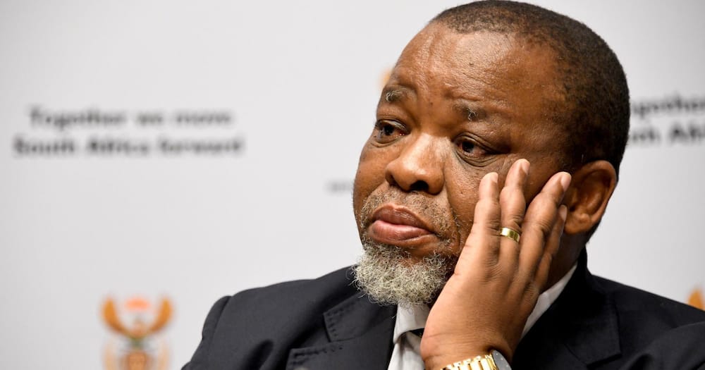 Gwede Mantashe says the government's solar geyser project is a disaster, Mzansi reacts