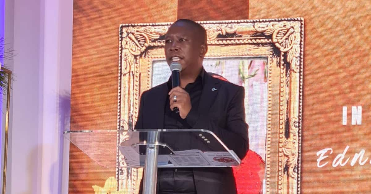 Julius Malema Calls for an End to Covid-19 Vaccine Conspiracies