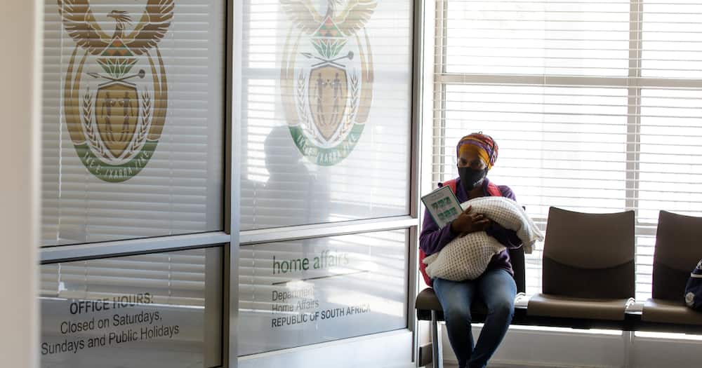 Home Affairs to Recruit 10k Youths to Ramp Up Its System in March, SA Calls for Citizens to Be Put First
