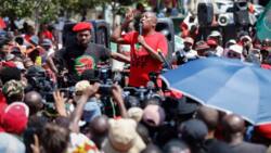 National shutdown: Julius Malema praises EFF supporters for being disciplined, SA says: “I respect Juju”