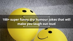 100+ super funny dry humour jokes that will make you laugh out loud