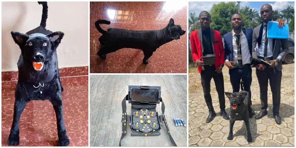 Nigerian students create robotic dog that is controlled with remote as final year project, photos cause stir