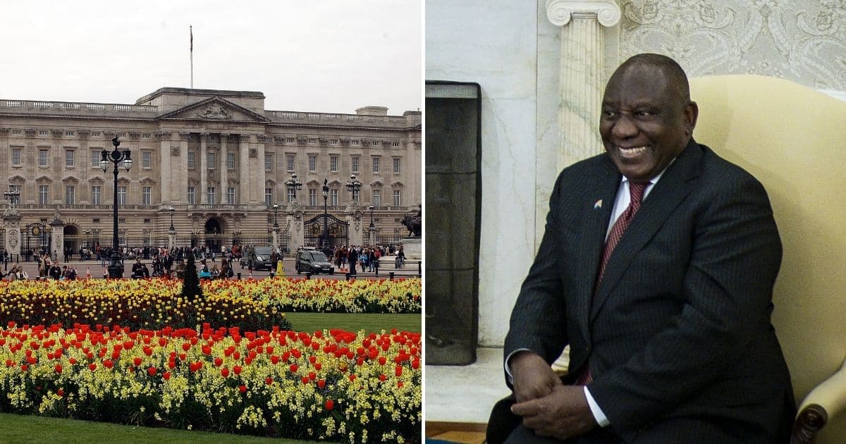 he-has-no-shame-ramaphosa-s-state-visit-to-uk-marred-by-phala-phala