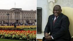 President Cyril Ramaphosa’s state visit: UK minister for Africa excited about trip while media focuses on Phala Phala saga