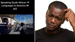 TikTok star Kwande Mbalekwa speaks South African languages at American McDonalds