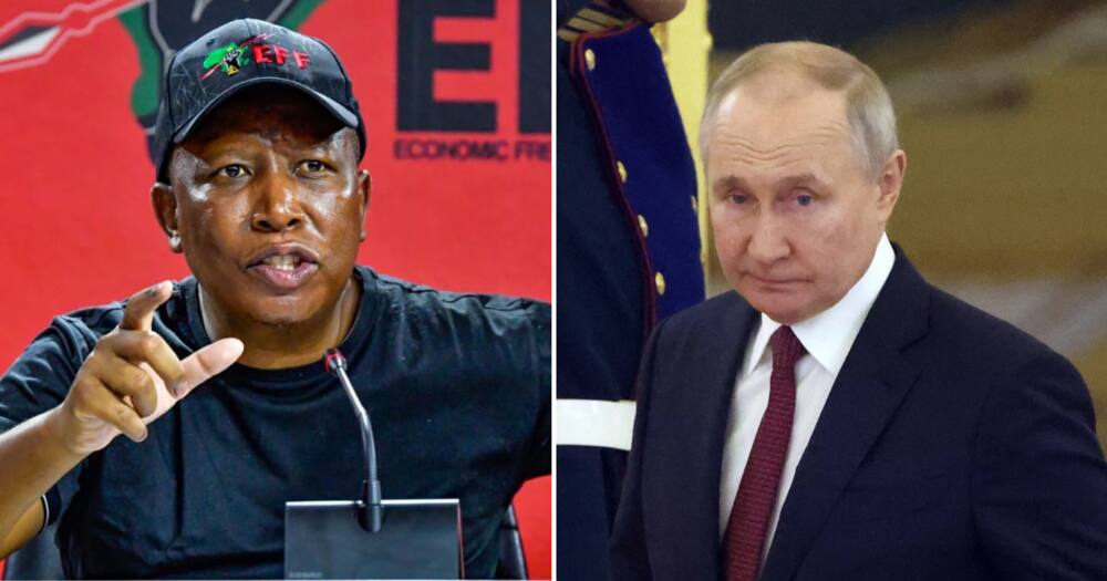 EFF leader Julius Malema on Russian President Vladimir Putin's visit to South Africa