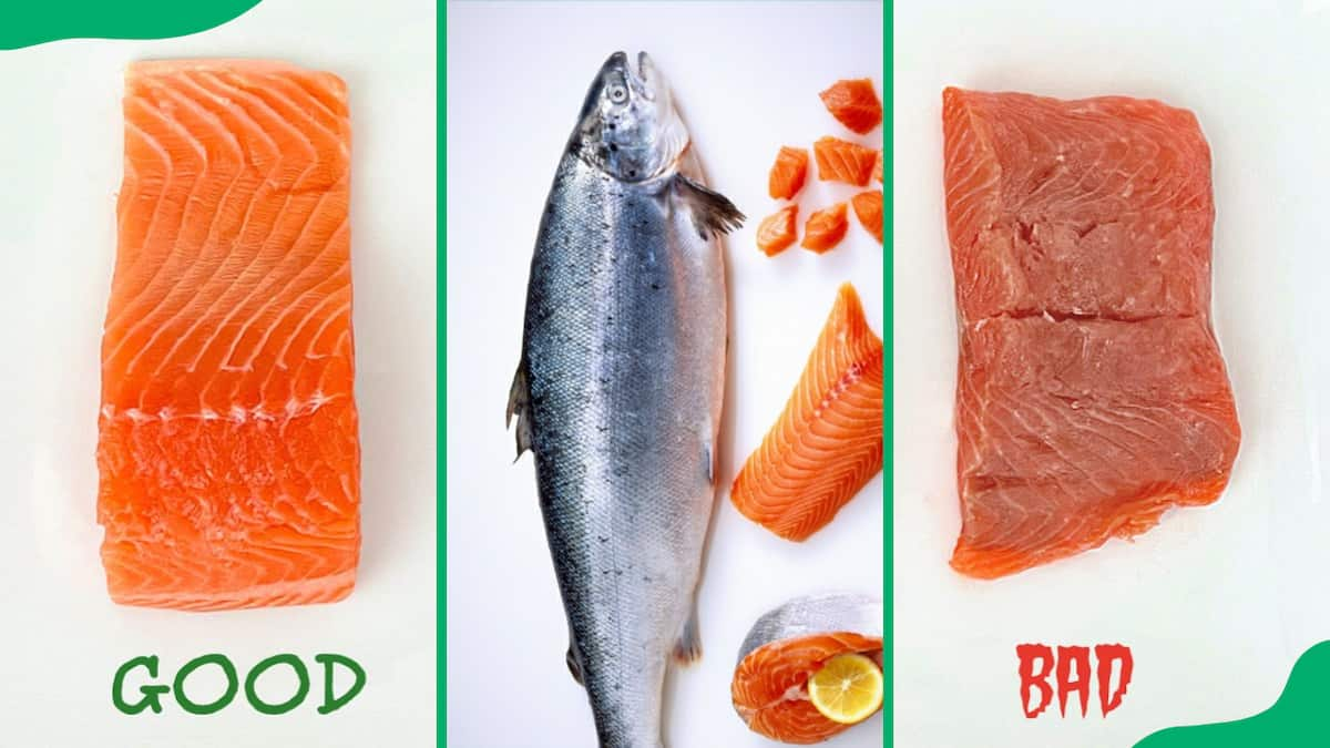 How to tell if salmon is bad: Easy ways to spot spoiled fish - Briefly ...