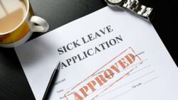 How does sick leave work in South Africa 2022? Full guide
