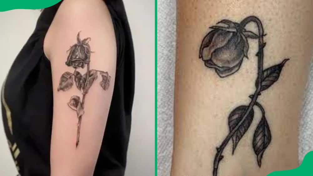 Dead rose tattoos