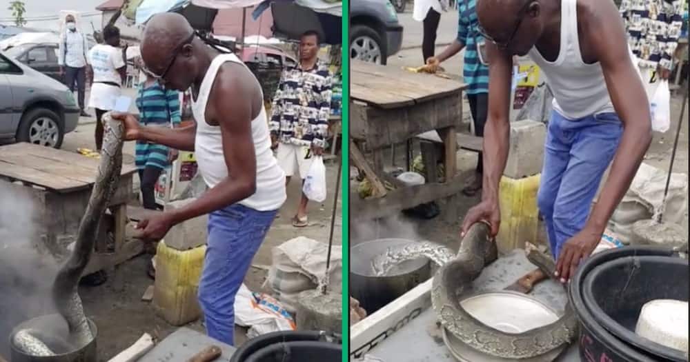 A man cooked a big snake in a pot and South Africans wanted to know why