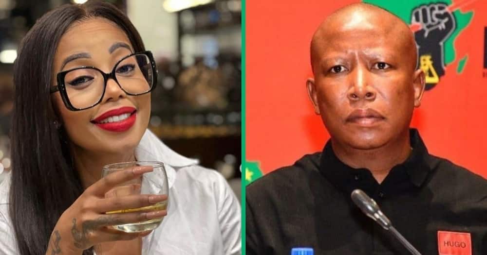 Singer Kelly Khumalo praises Economic Freedom Fighters leader Julius Malema on his party 10th year anniversary amid Senzo Meyiwa criticism.