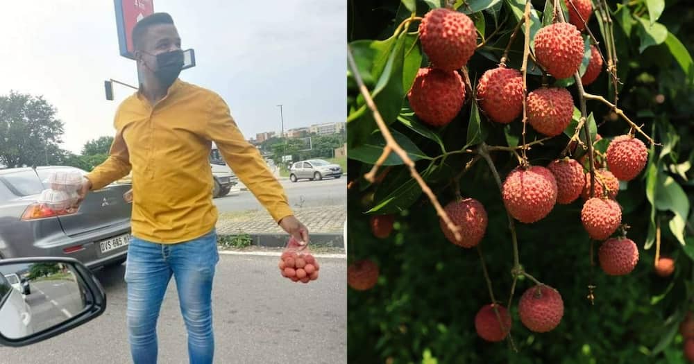Lychees, businessman, entrepreneur news, South African entrepreneur, selling fruit, no money, nothing to anything, viral news, Kasi Economy