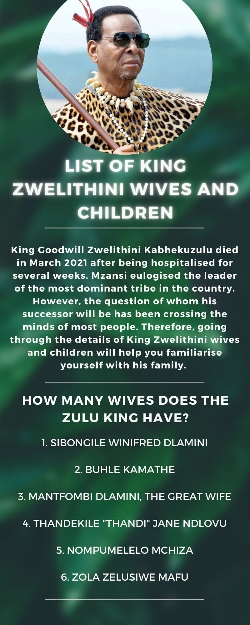 List of King Zwelithini wives and children