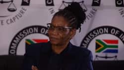 Thandi Modise believes foreigners run most of South Africa's crime syndicates, defends SAPS using nationalities