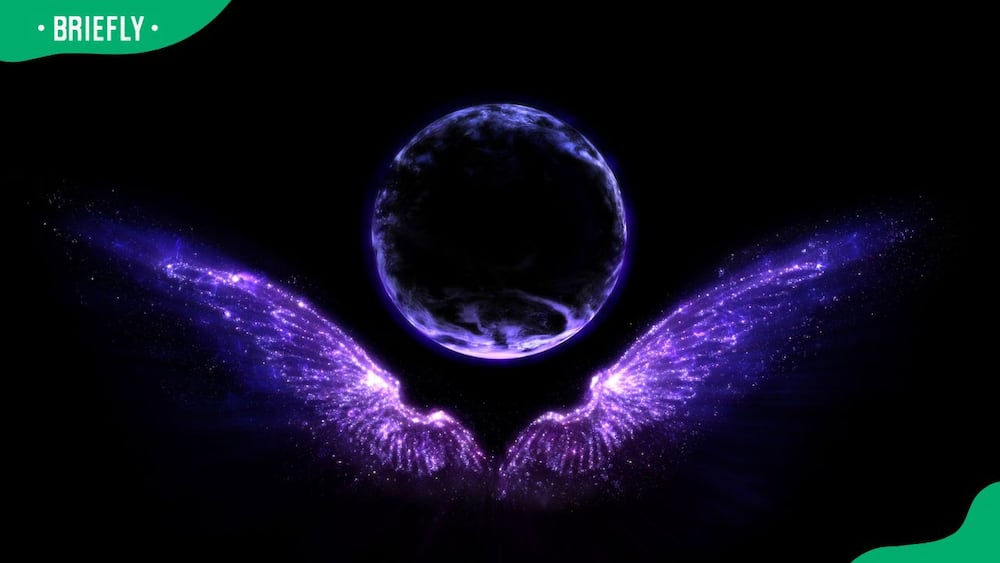Star angel wings on a black background