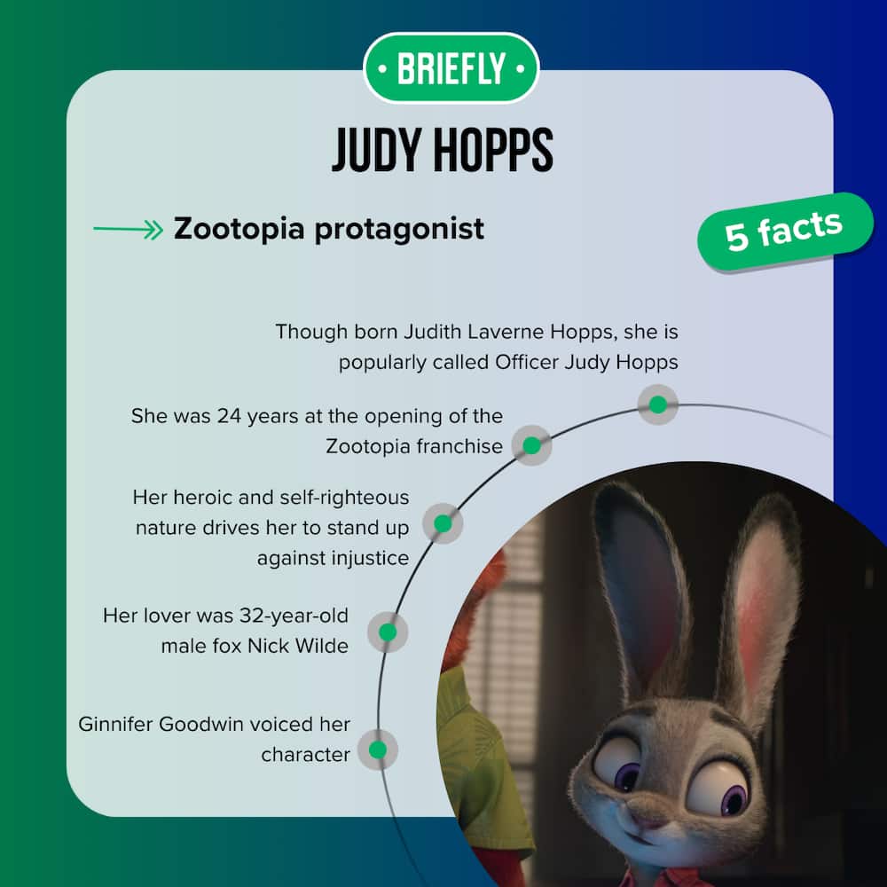 Judy Hopps' facts