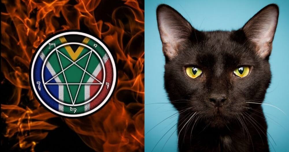 South African Satanic Church, distance itself, killings of 40 cats, Western Cape