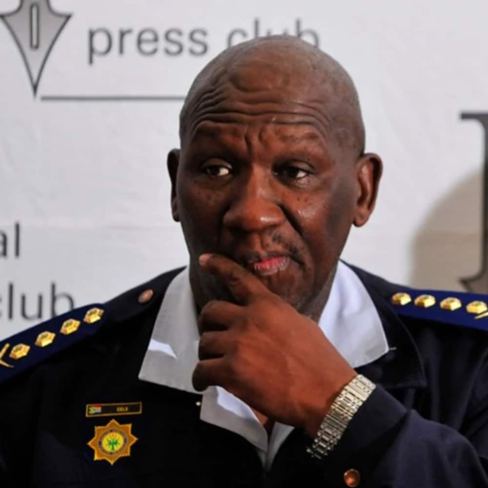 bheki cele qualifications