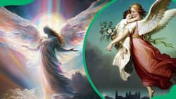 0000 angel number meaning for love, career and money: What does it reveal?