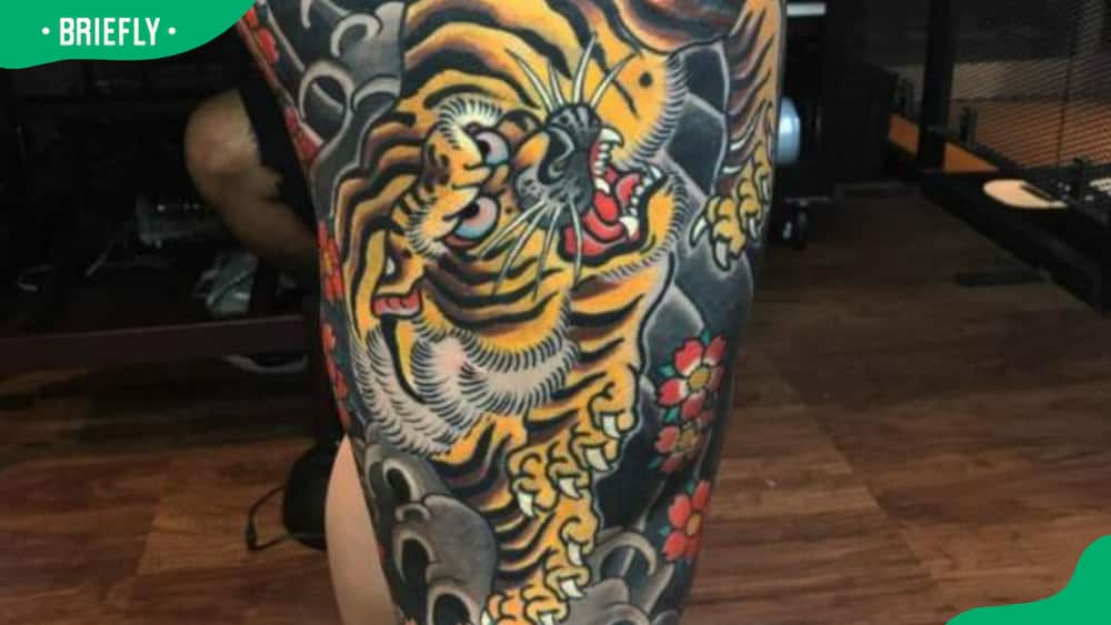 Japanese koi and tiger tattoo design