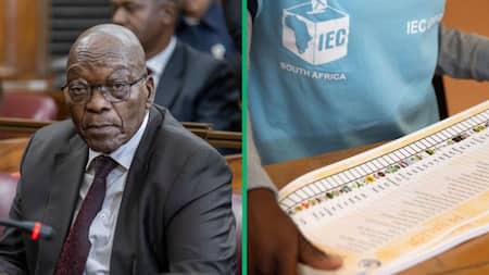 Jacob Zuma's lawyers ask for extension to file affidavit in IEC court case