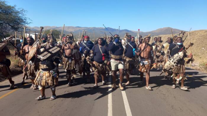 Zulu king denies sending Amabutho to Nkandla to defend Zuma