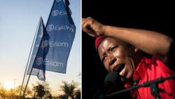 EFF claim new appointed board at Eskom won't stop loadshedding in SA