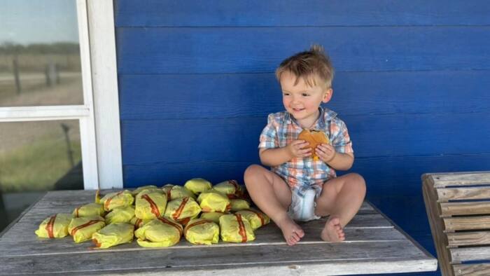 Mischievous 2 year old toddler orders R1 400 worth of burgers with mom's card on online food app