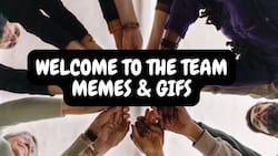 30 best welcome to the team memes and GIFs for new team members