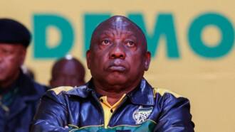 Ramaphosa must go: Political apply for motion of no confidence to give Ramaphosa the boot