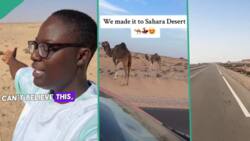 "We made it": Brave lady driving from London to Lagos reaches Sahara desert after leaving Morocco