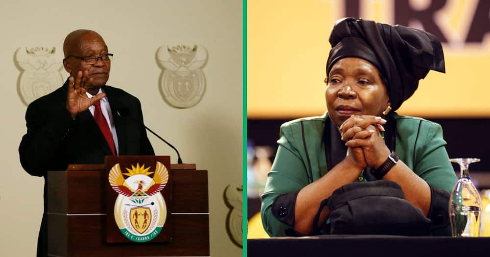 Nkosazana Dlamini Zuma will be representing the ANC to counter Jacob Zuma's MK party