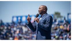 Maimane: 'Smear campaign' plot by those who want the 'old' DA back