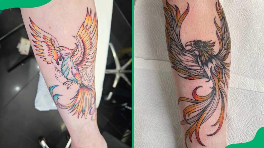 Forearm phoenix tattoo with coloured ends