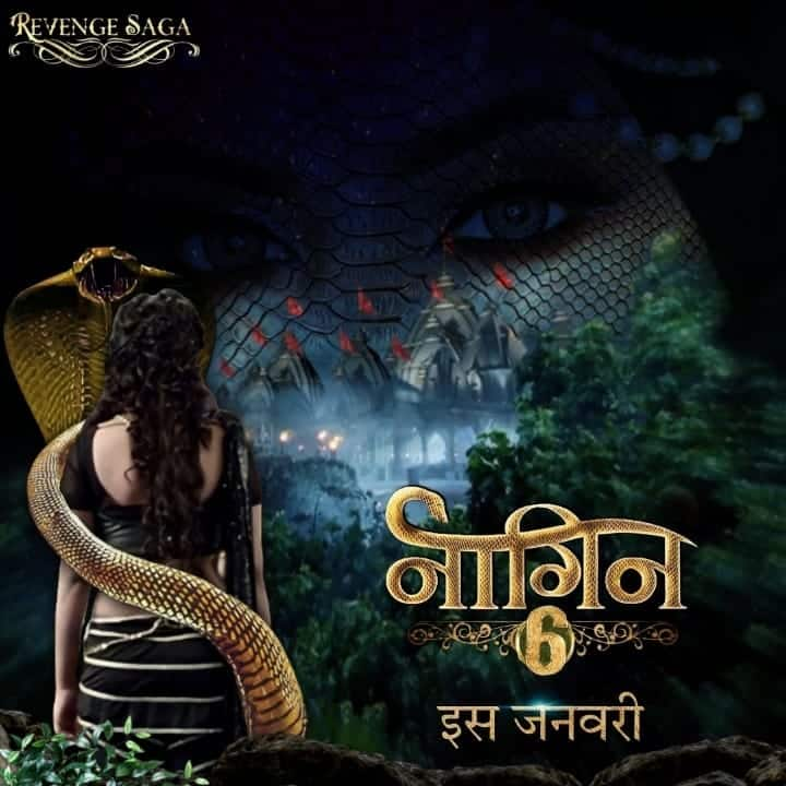 Naagin online season discount 2